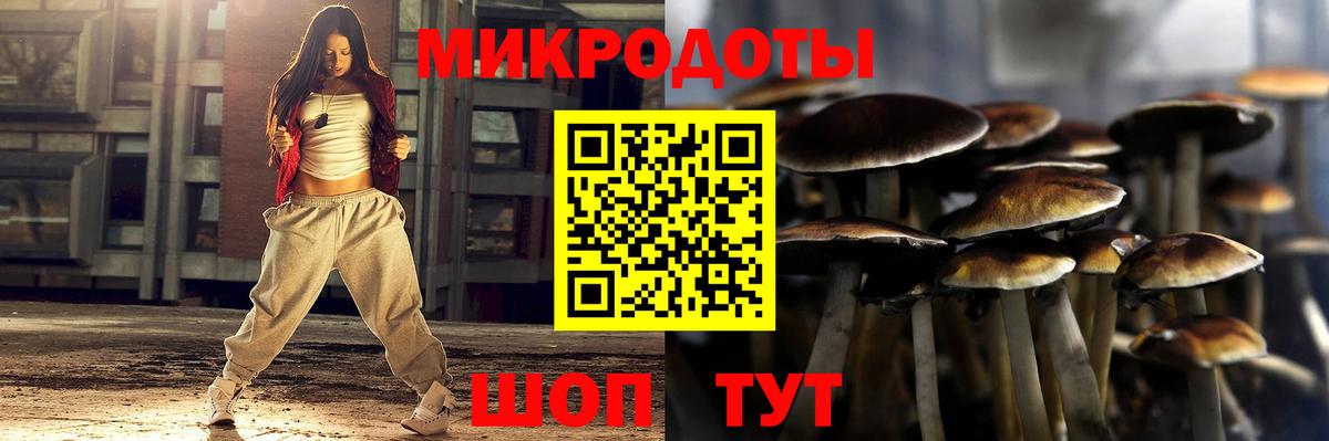 Псилоцибиновые грибы GOLDEN TEACHER  Вход с VPN  купить наркотики сайты  Юрга 
