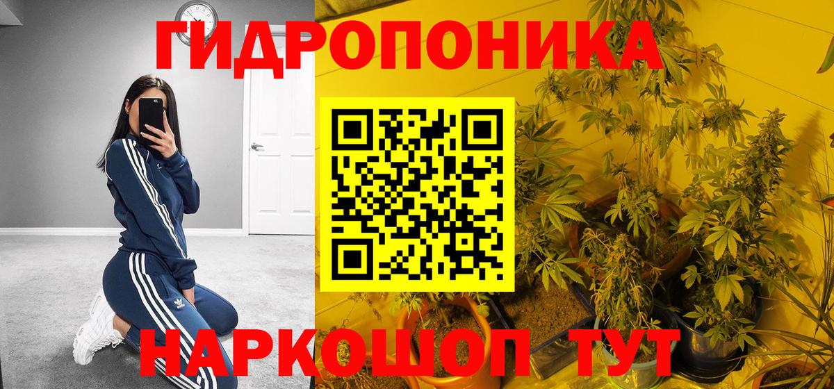 Шишки марихуана семена  Конопля гибрид  Каннабис гибрид  Каннабис планчик  Юрга  Вход с VPN 